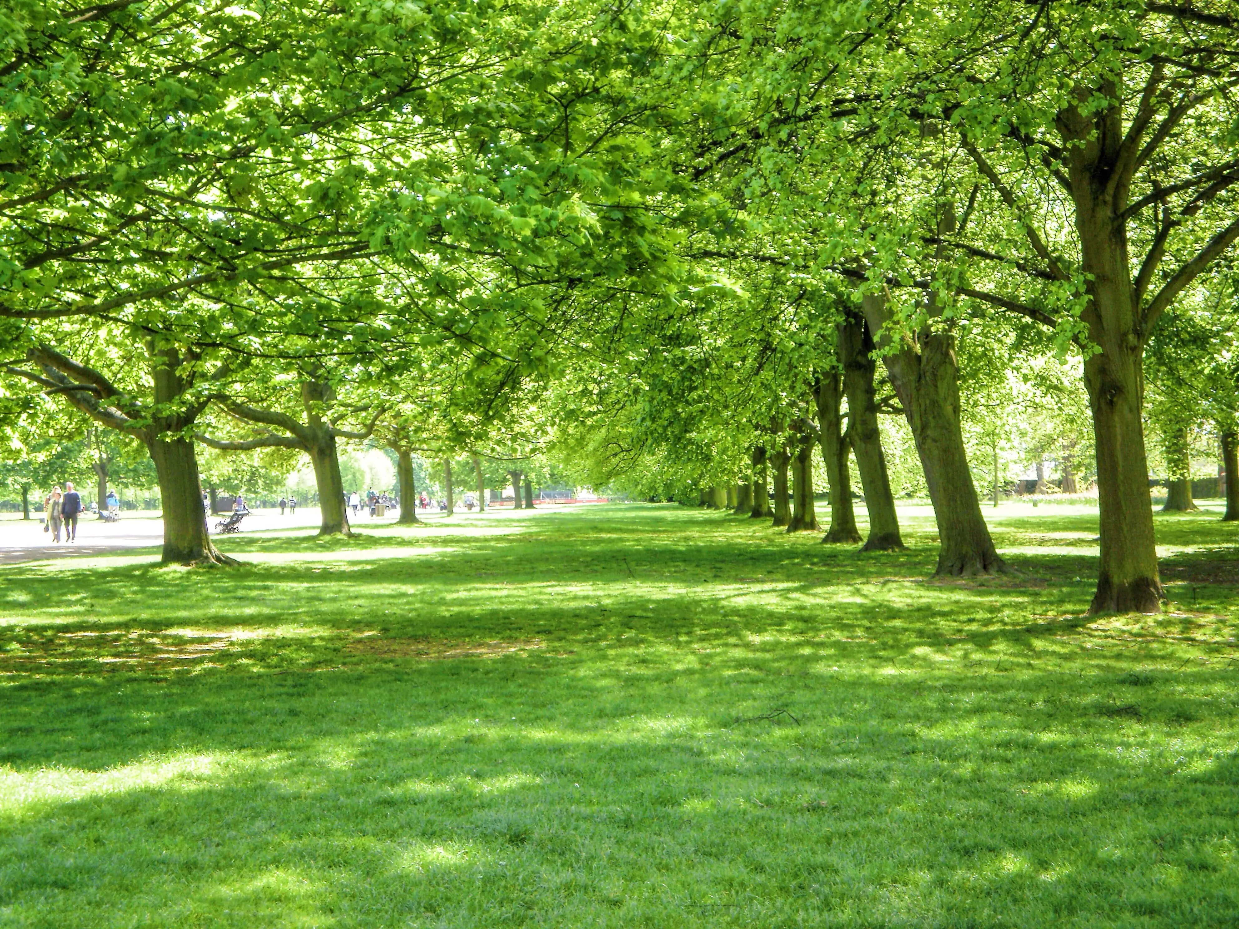 Parks in Lichtenberg