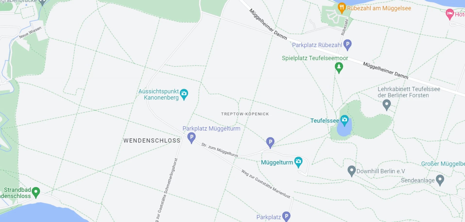 A white swan in Treptow Park